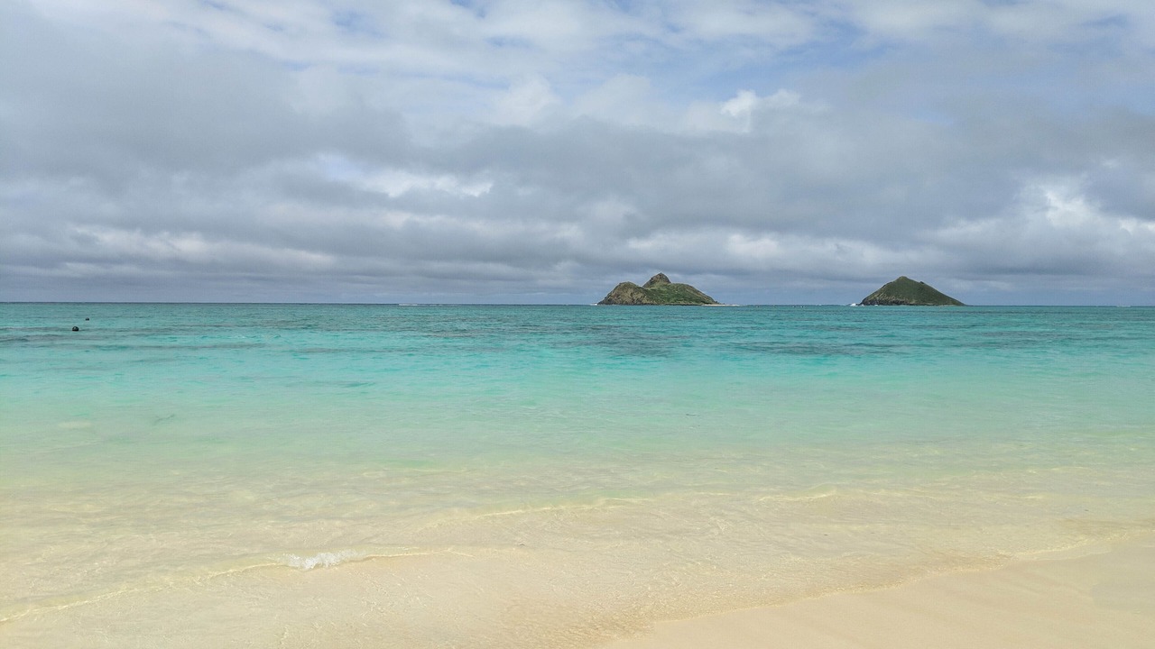 Photo of Others in Waikiki