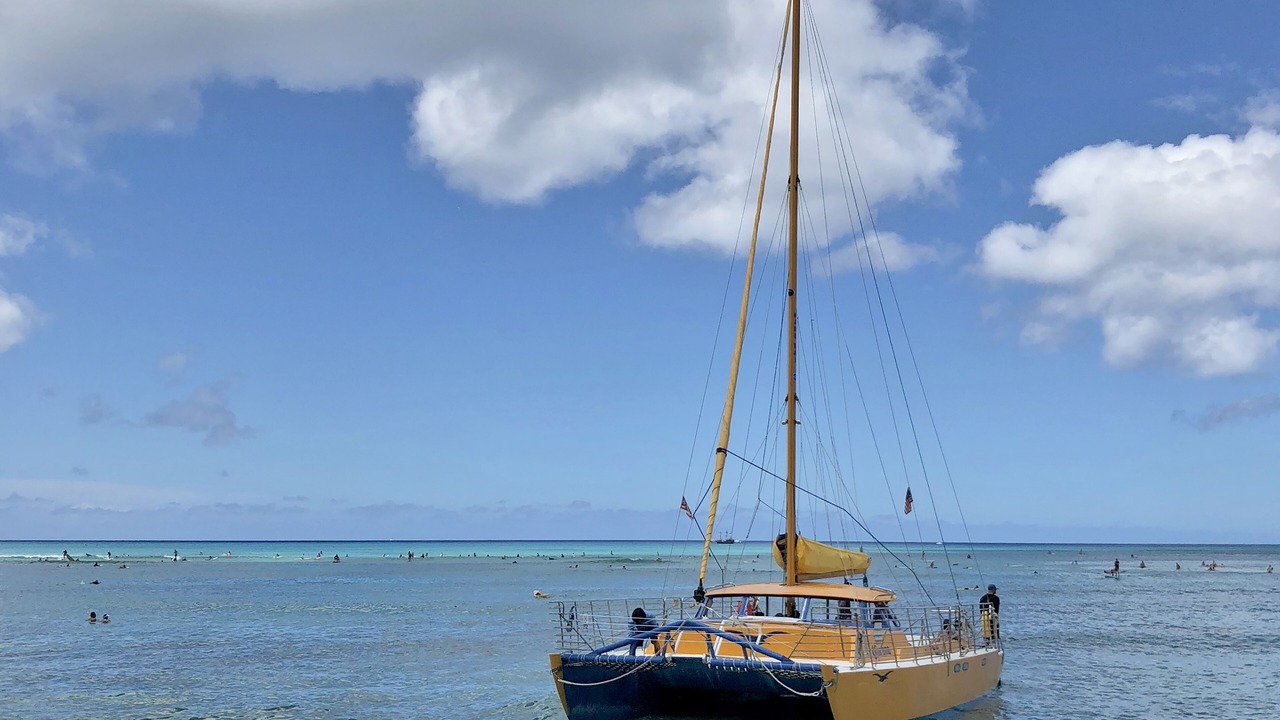 Photo of Others in Waikiki