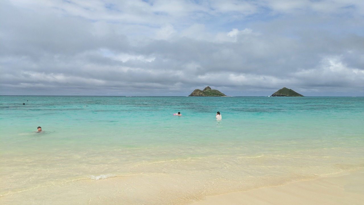 Photo of Others in Waikiki