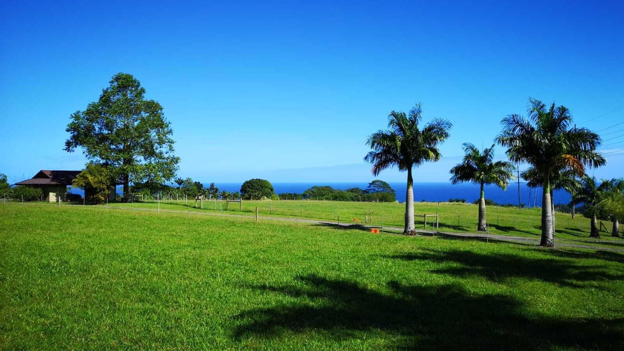 Photo of Outdoor in Pepeekeo
