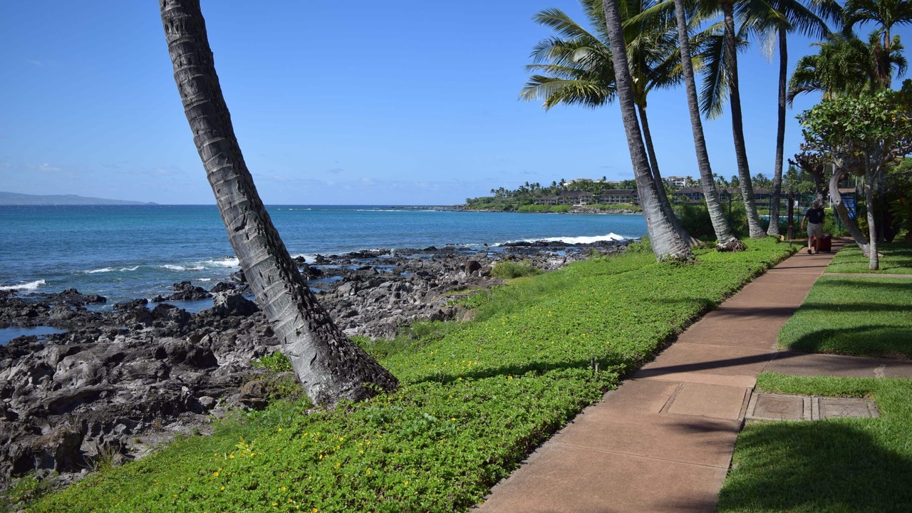 Photo of Outdoor in Napili