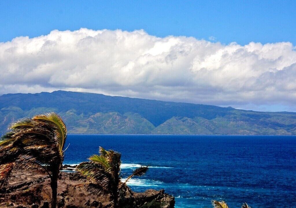 Photo of Others in Napili
