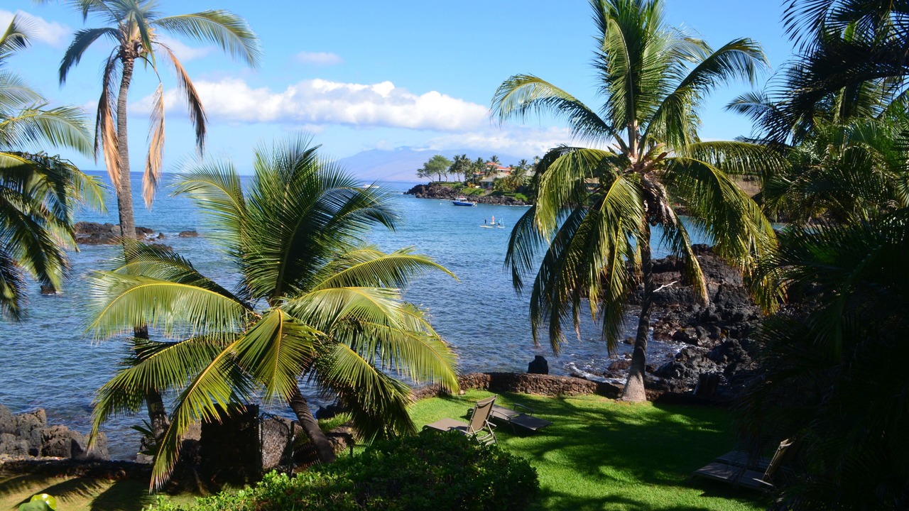 Photo of Others in Wailea