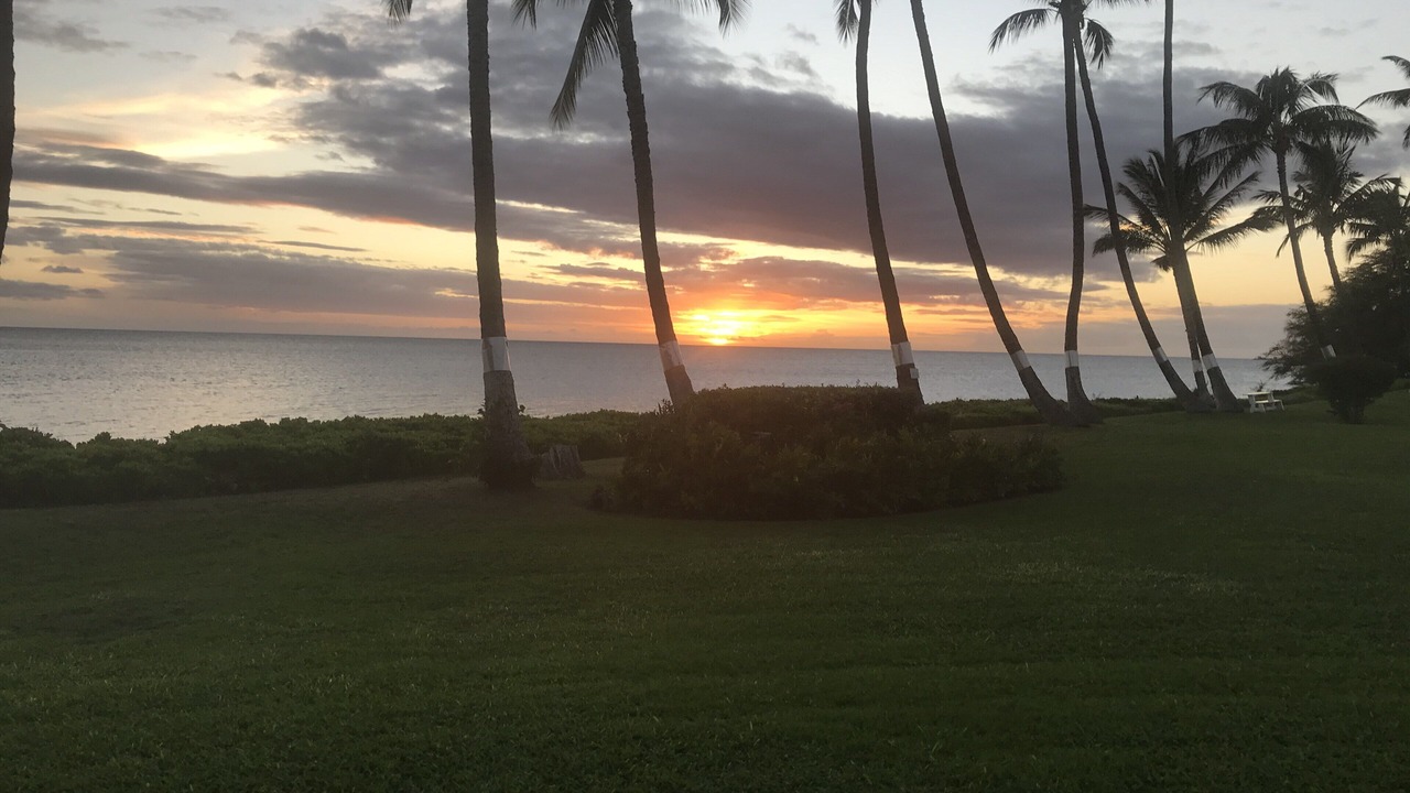 Photo of Outdoor in Kaunakakai