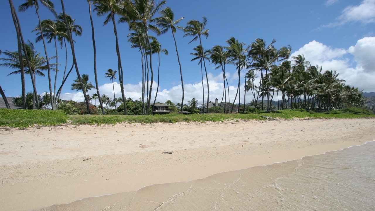 Photo of Others in Kahala