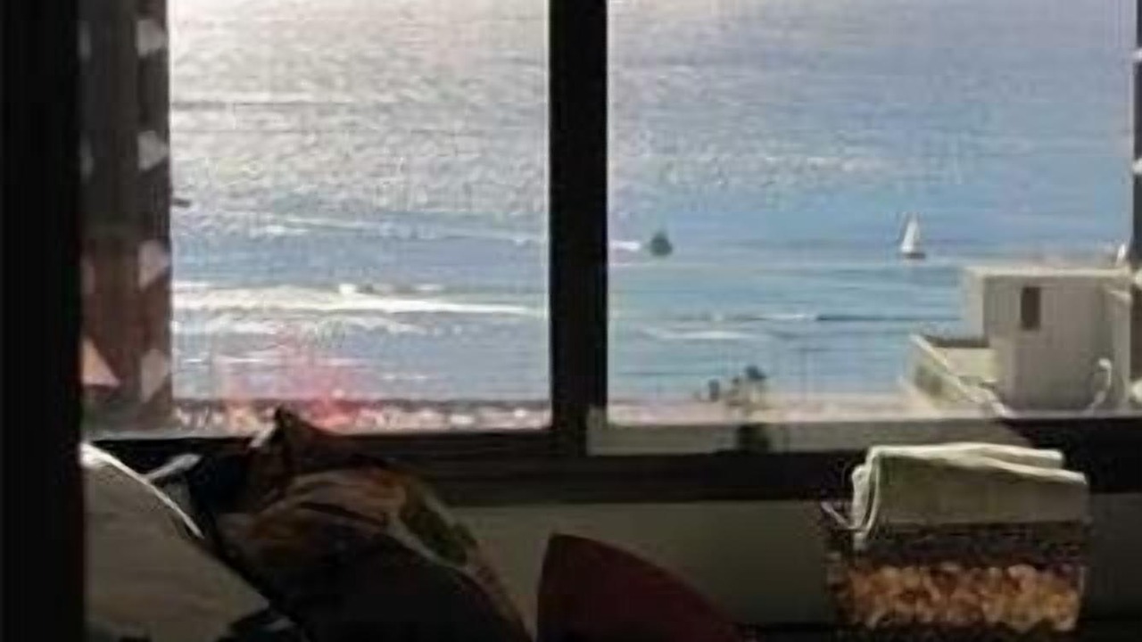 Photo of Others in Waikiki
