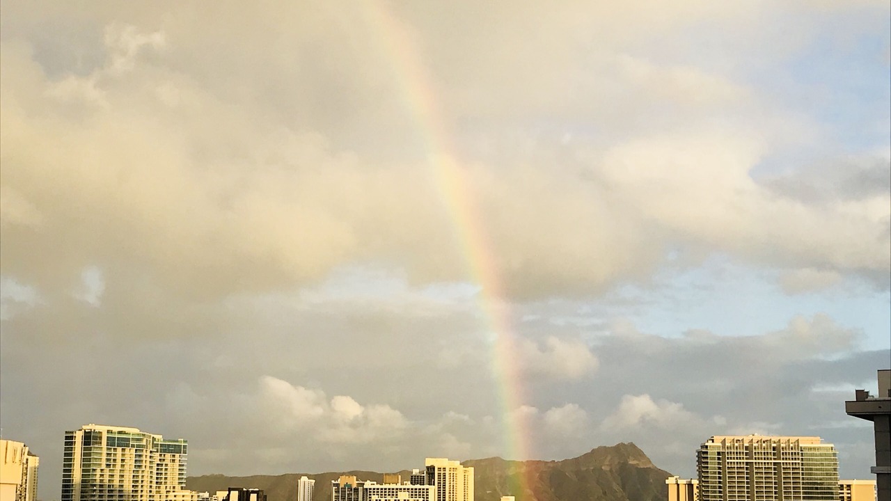 Photo of Others in Waikiki