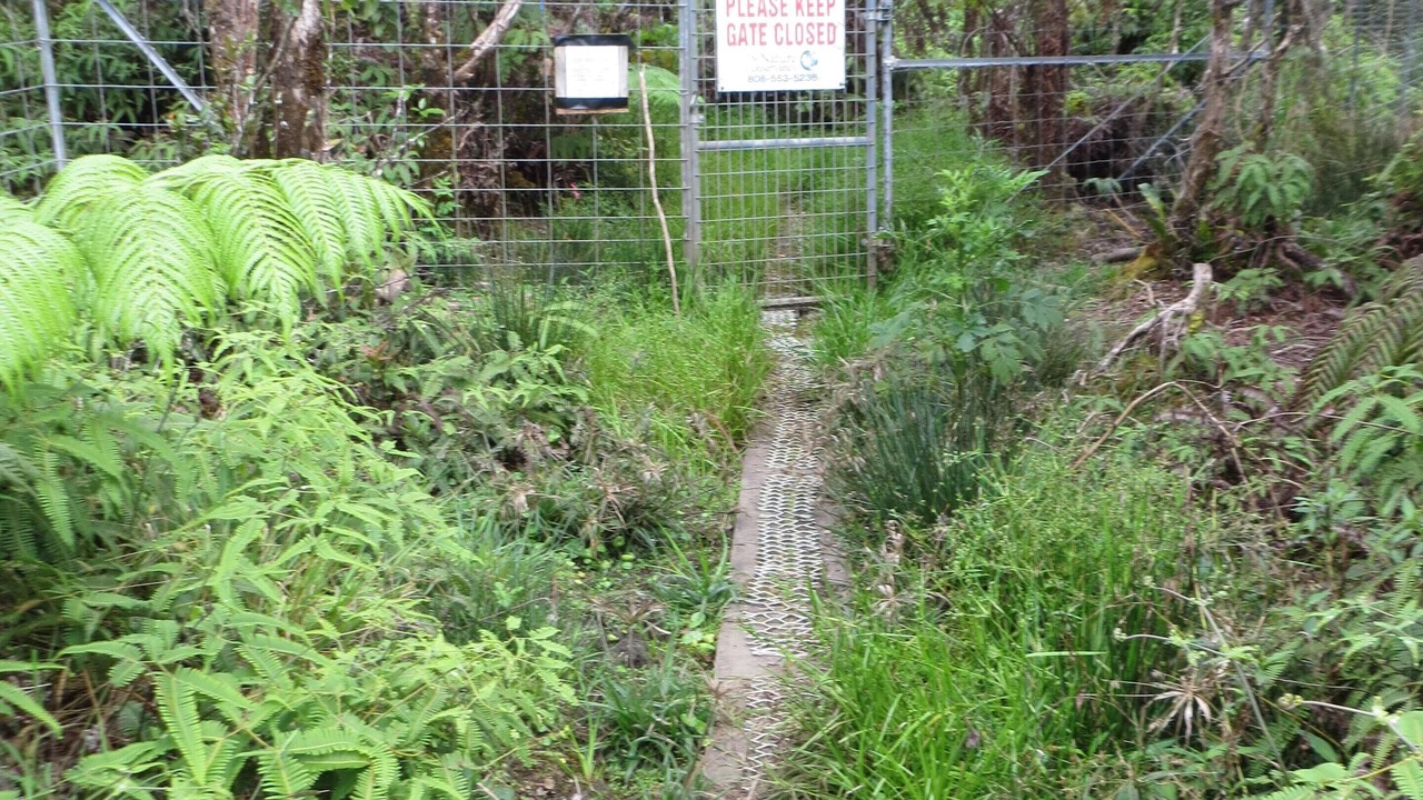 Photo of Outdoor in Maunaloa