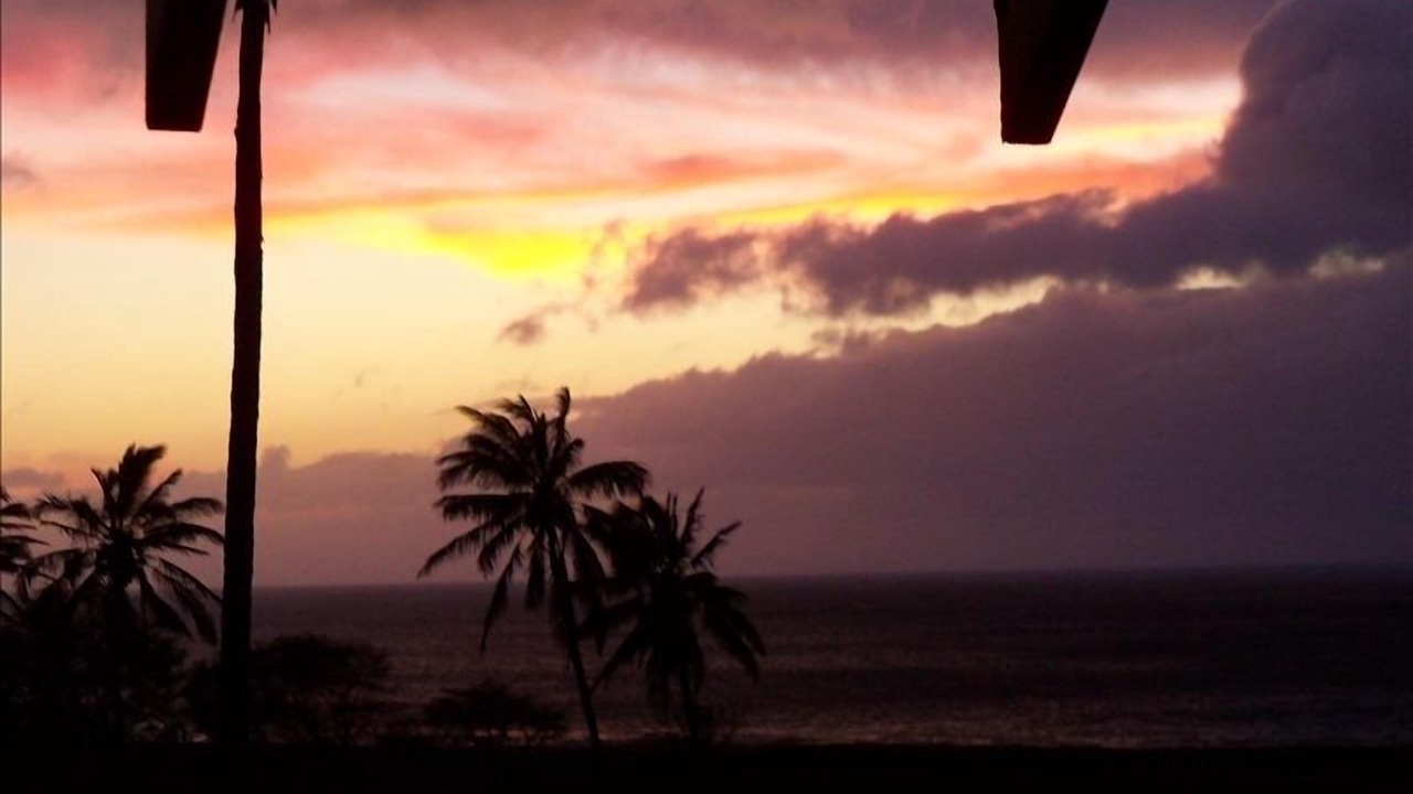 Photo of Others in Maunaloa