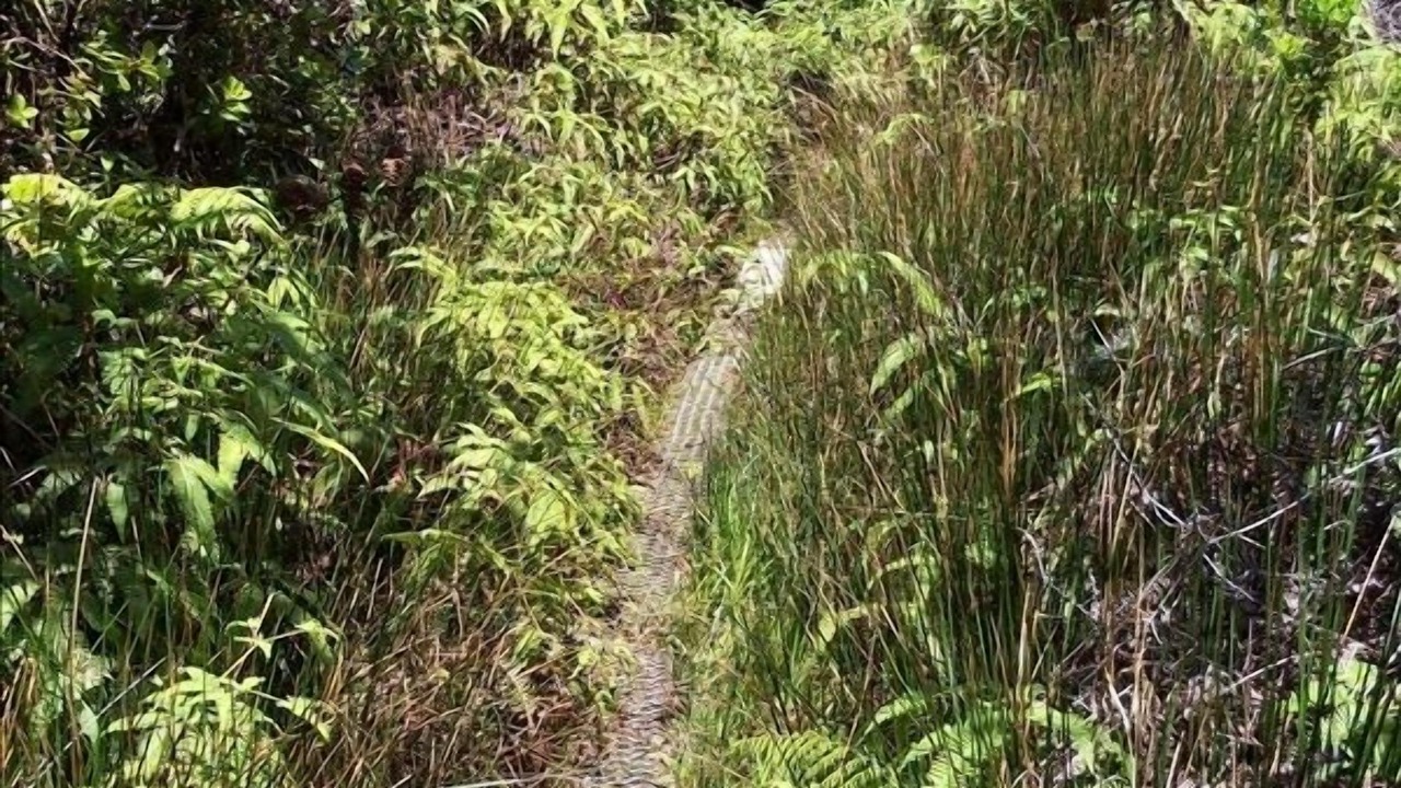 Photo of Others in Maunaloa