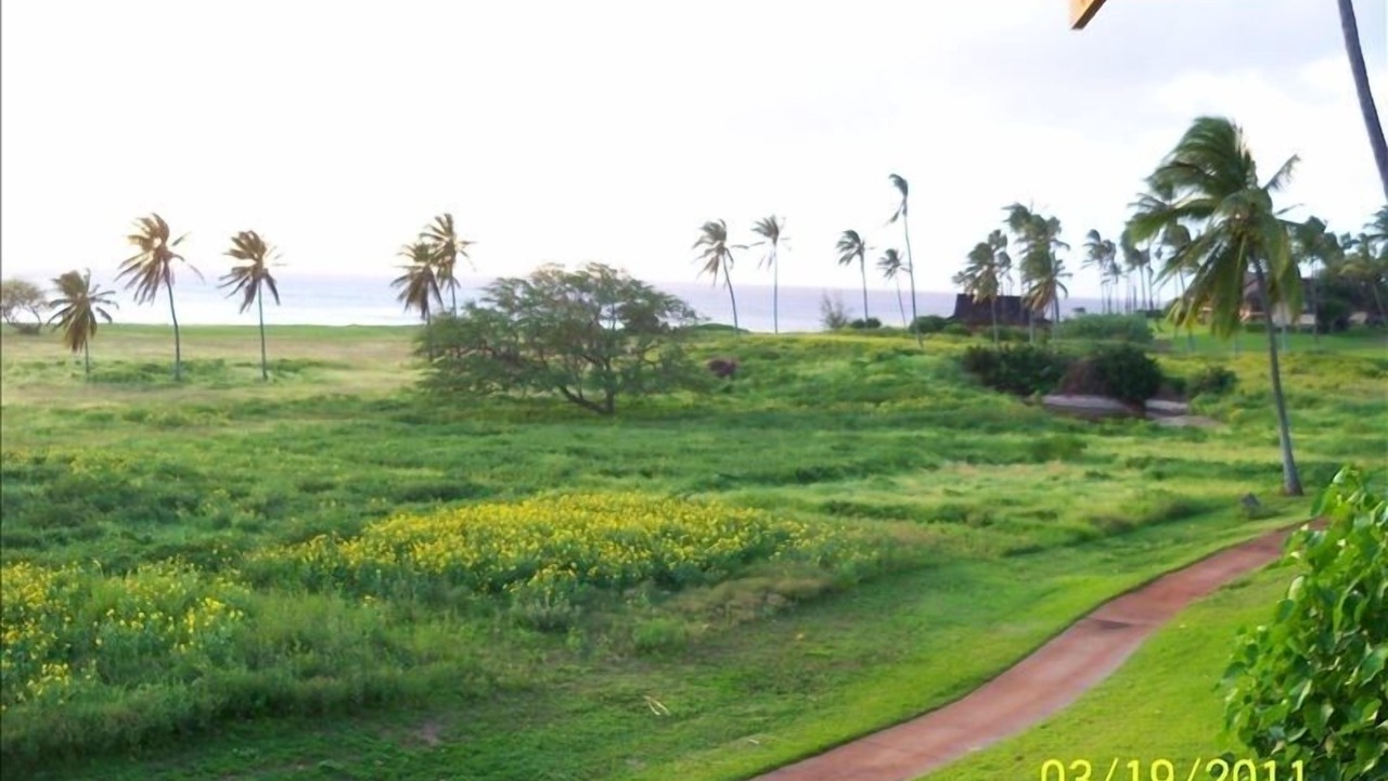 Photo of Others in Maunaloa