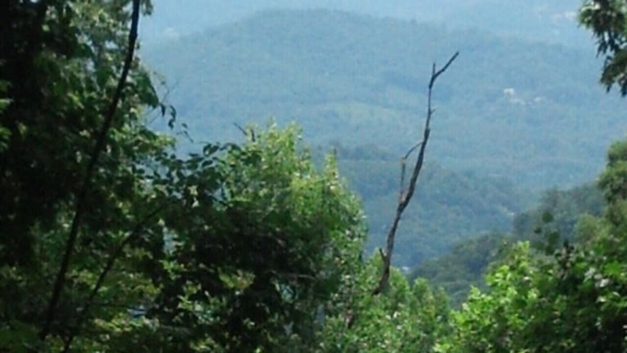 Photo of Others in Asheville