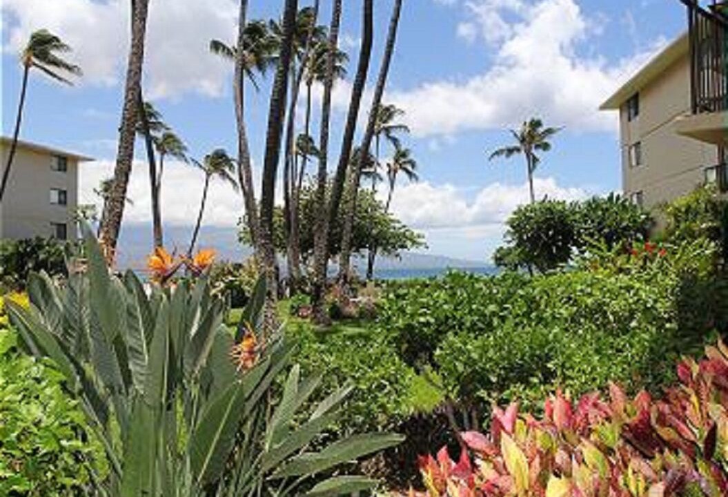Photo of Others in Maalaea