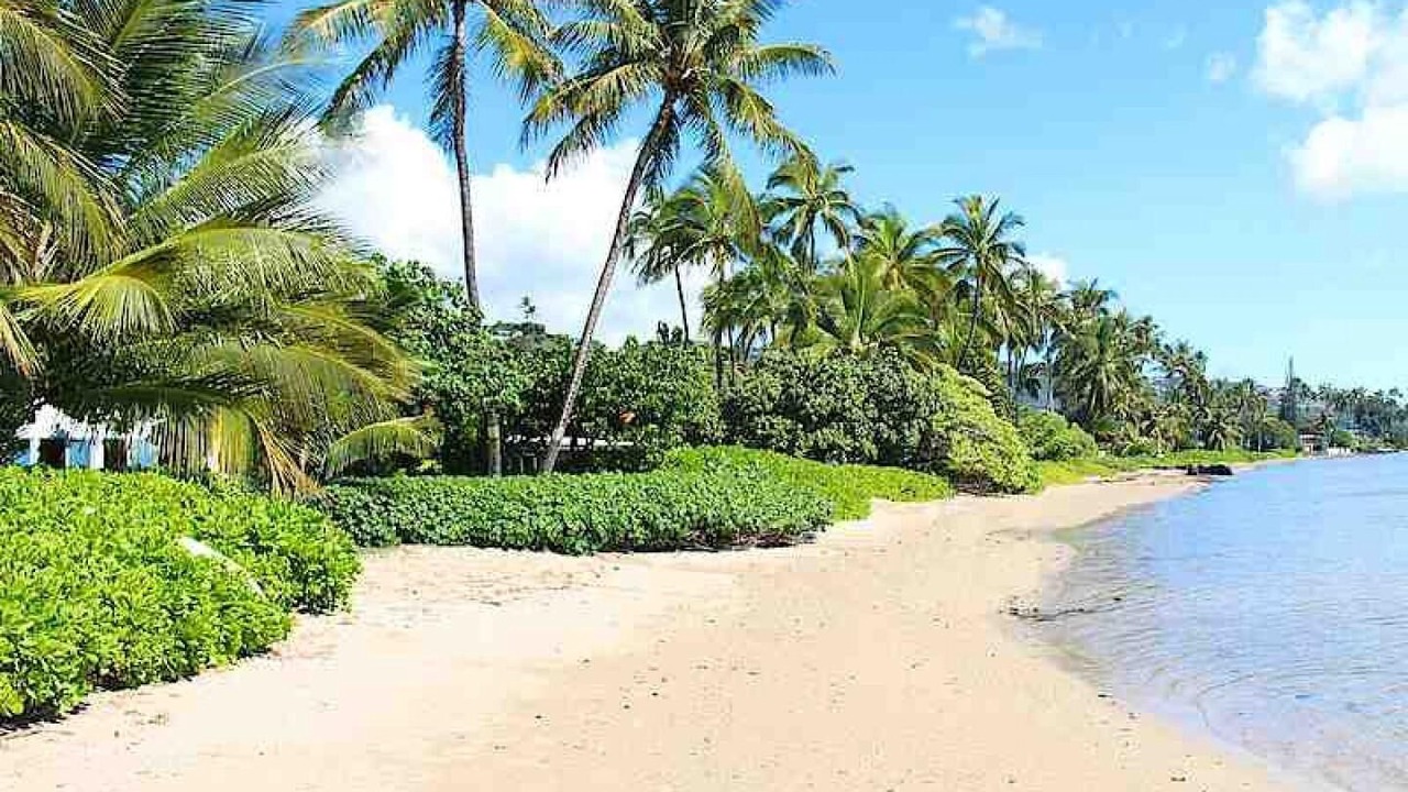 Photo of Others in Hawaii Kai
