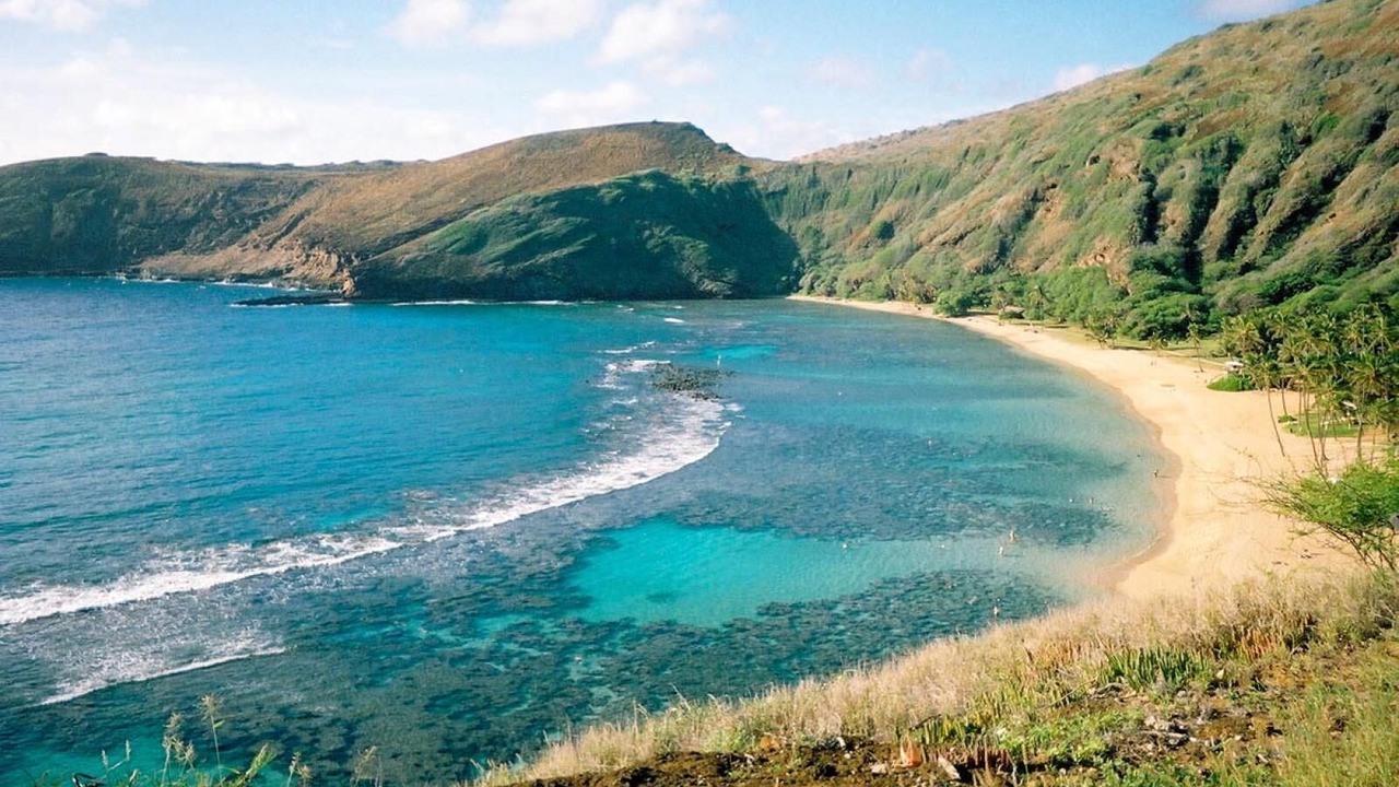 Photo of Others in Hawaii Kai