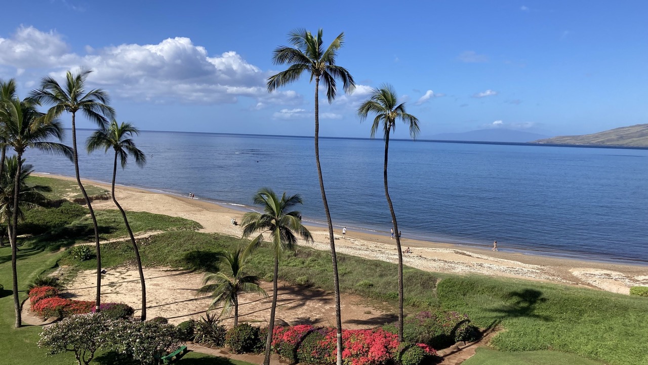 Photo of Others in Kihei
