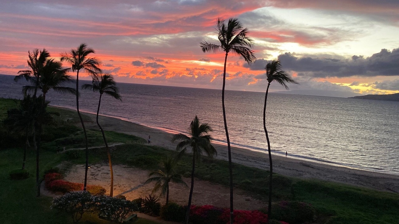 Photo of Others in Kihei