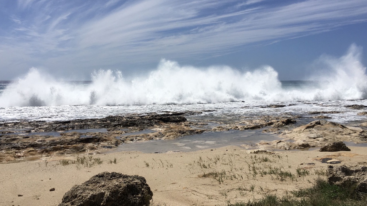 Photo of Others in Ko Olina