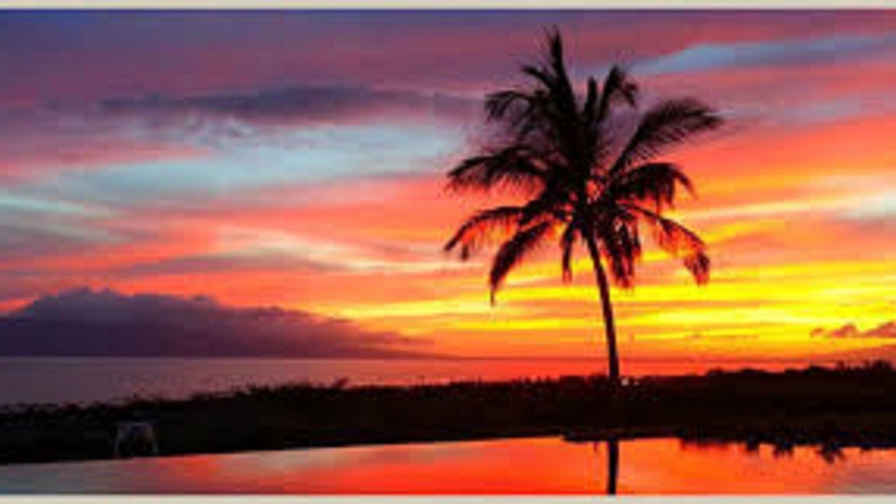 Photo of Outdoor in Pauwela