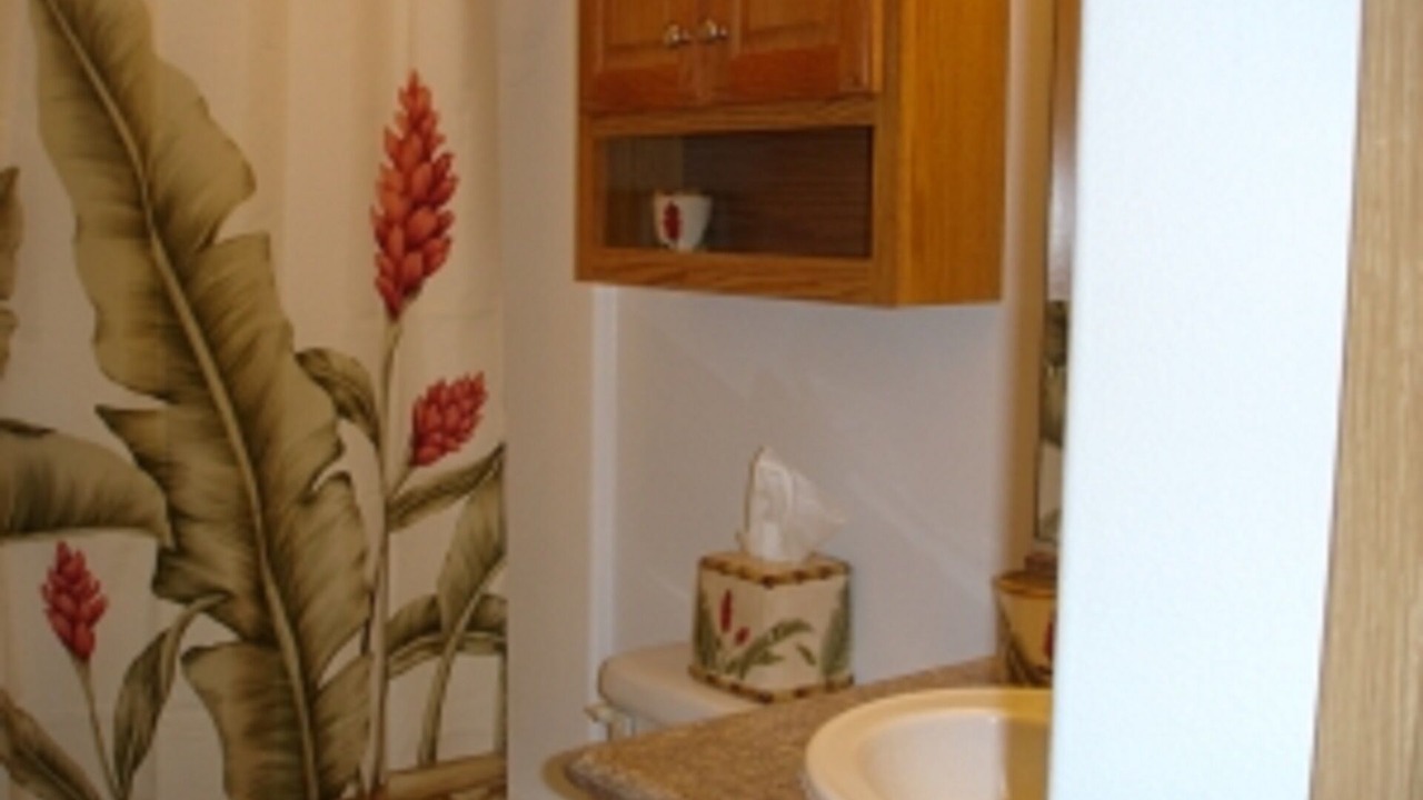 Photo of Bathroom in Pauwela