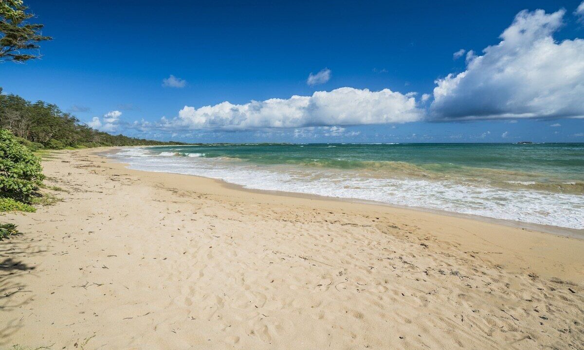 Photo of Others in Kahuku