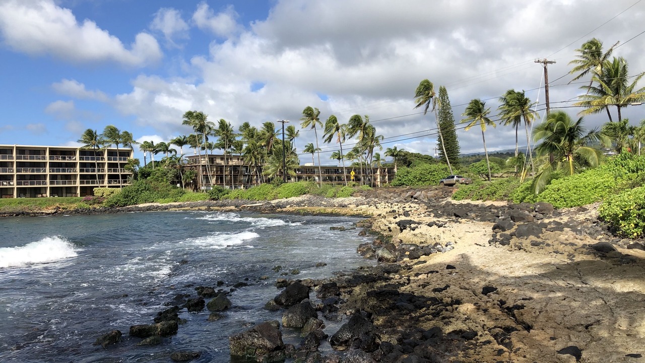 Photo of Others in Poipu