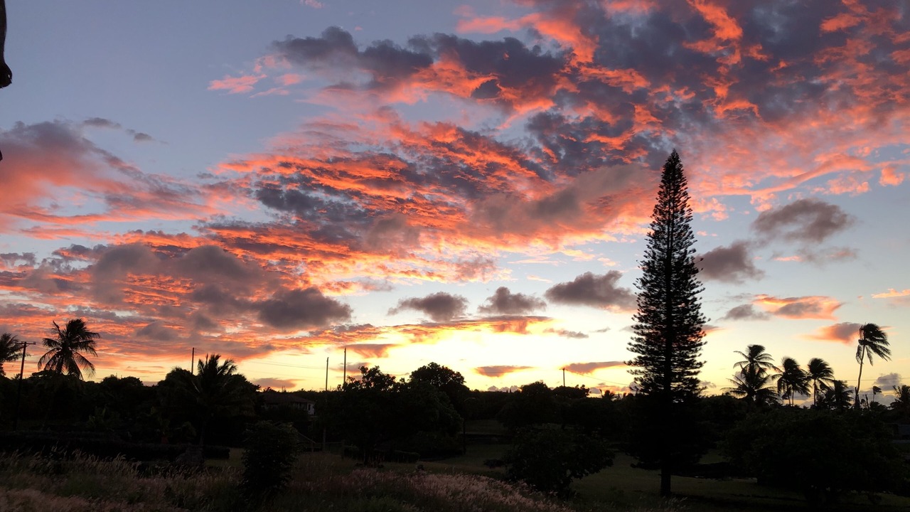 Photo of Others in Poipu