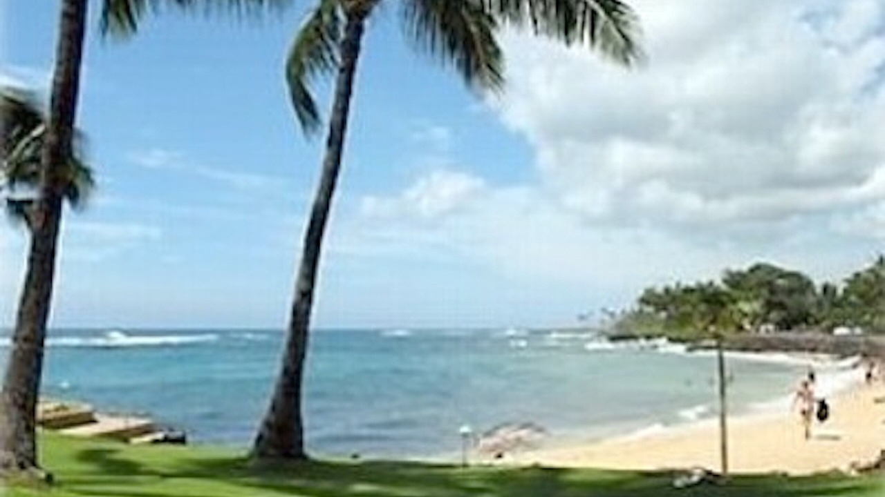 Photo of Others in Poipu