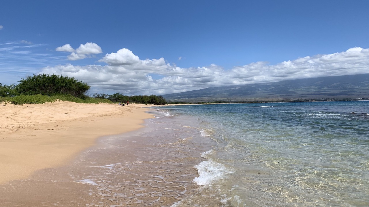 Photo of Others in Maalaea