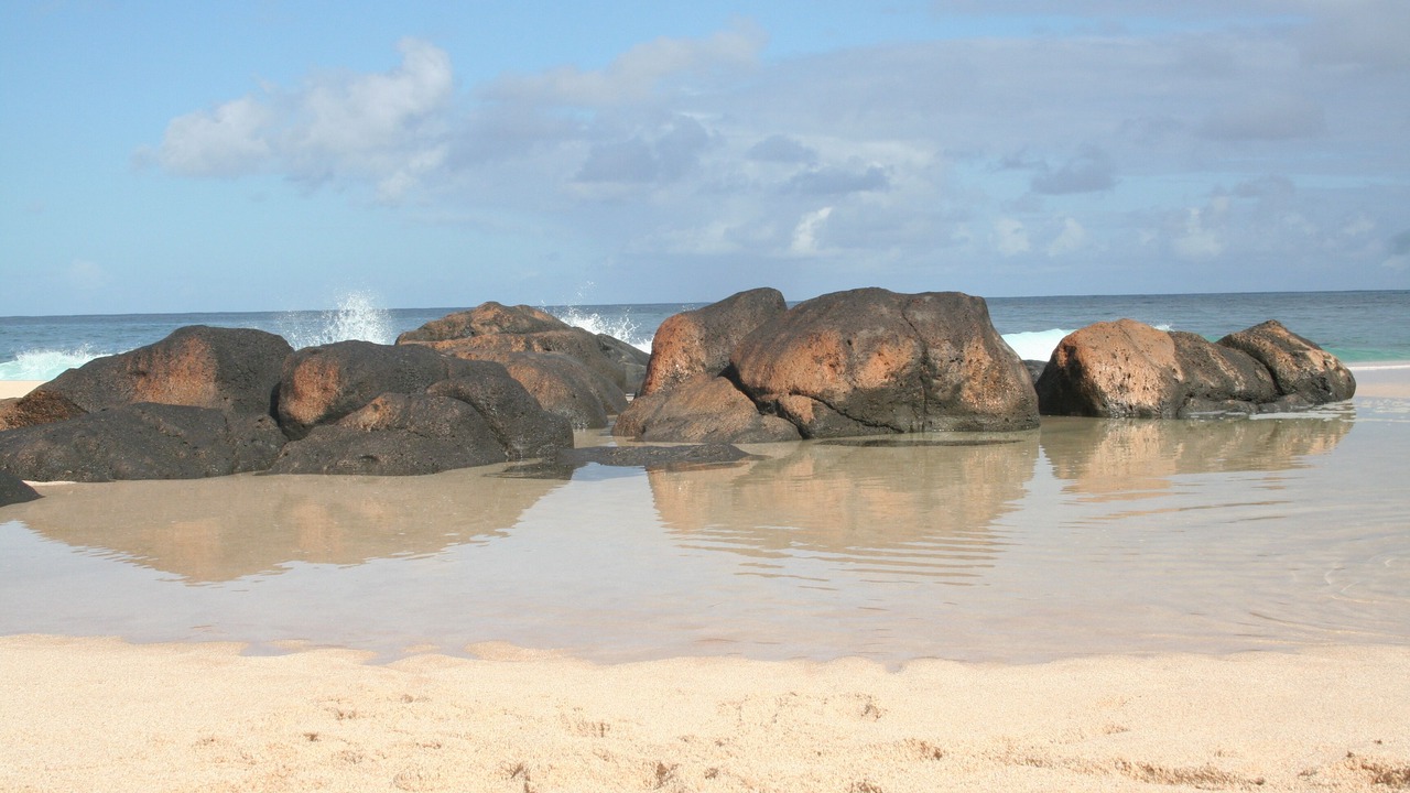 Photo of Others in Pupukea