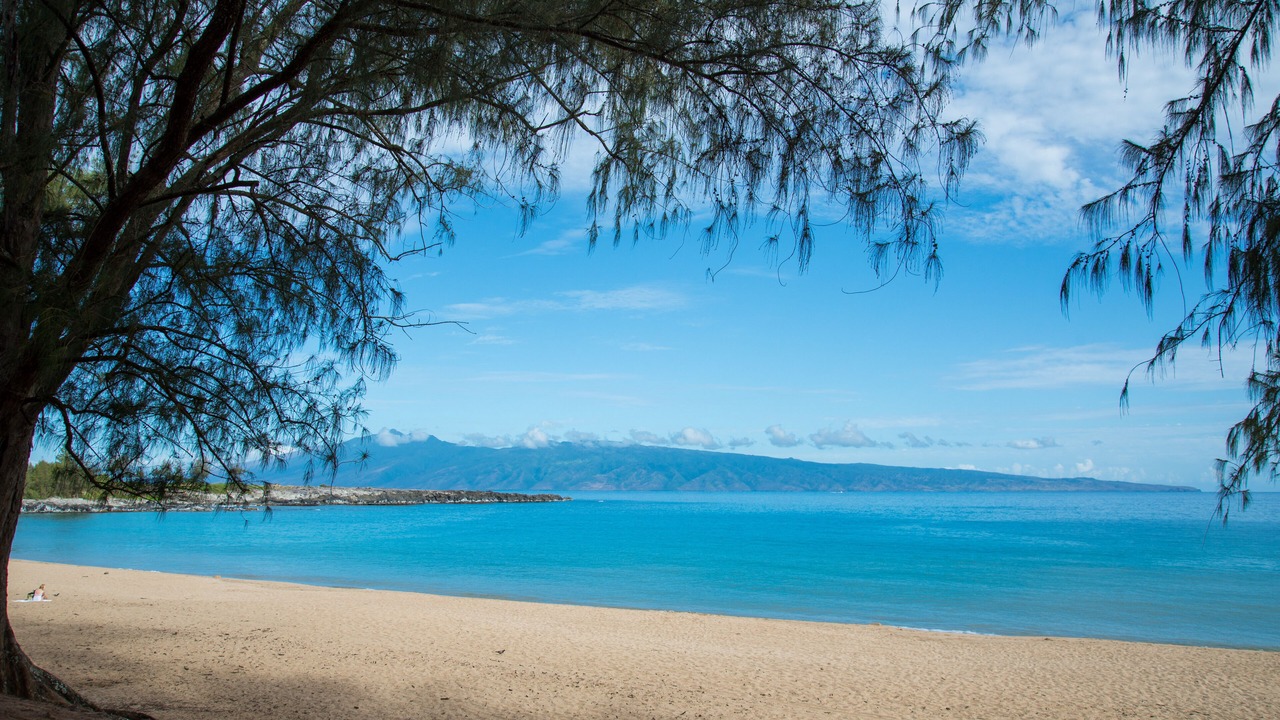 Photo of Others in Kihei
