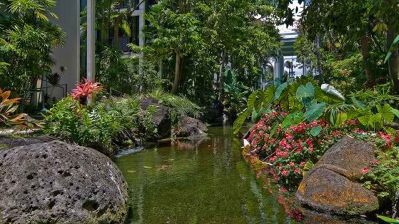 Photo of Outdoor in Waialae Iki