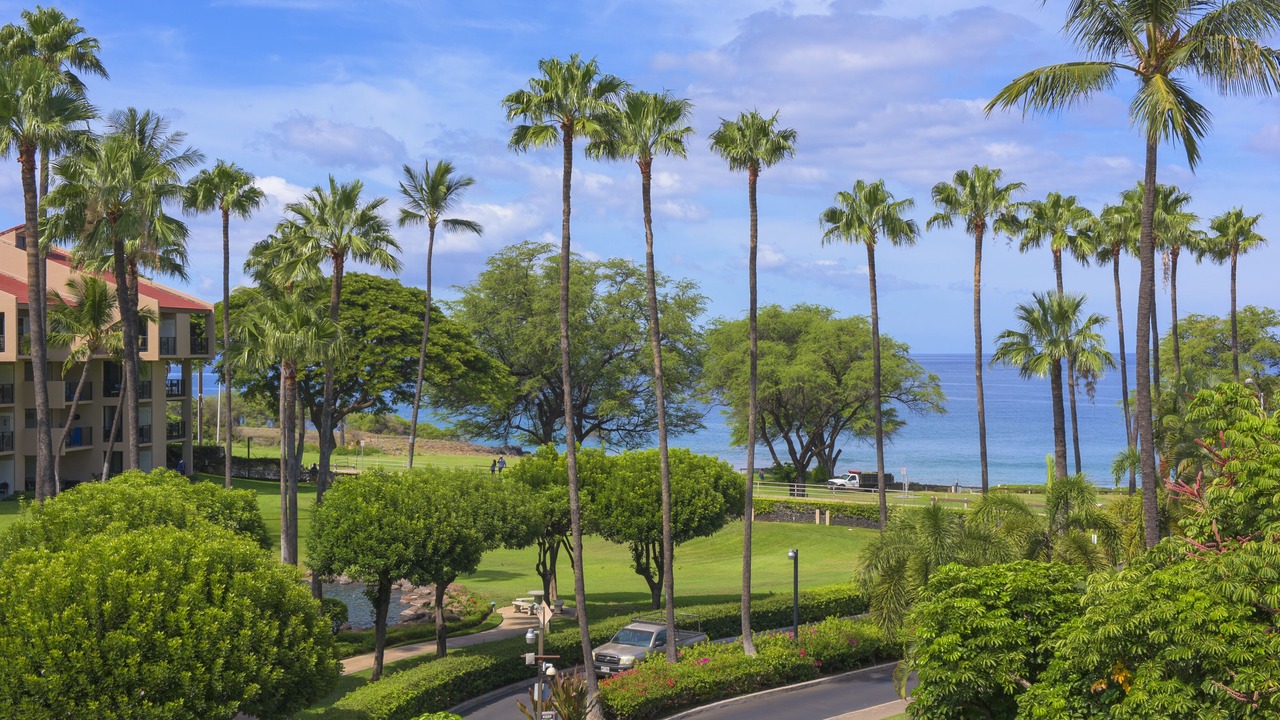 Photo of Outdoor in Kihei