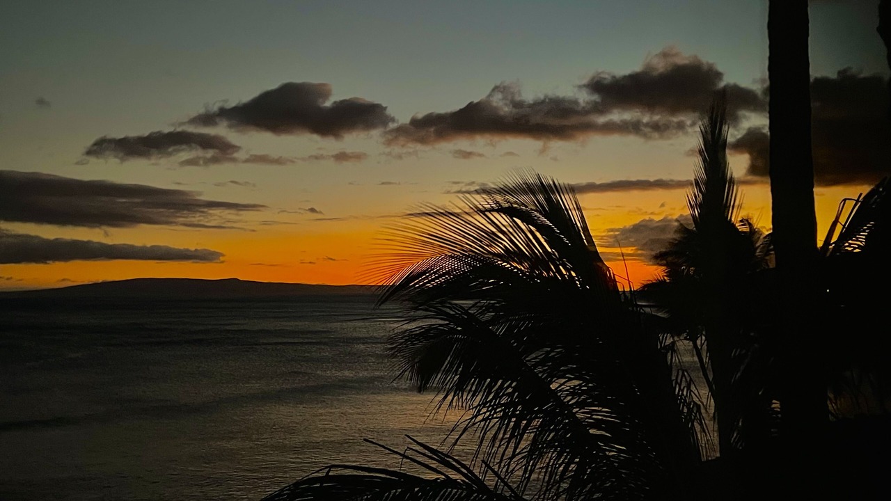 Photo of Others in Maalaea