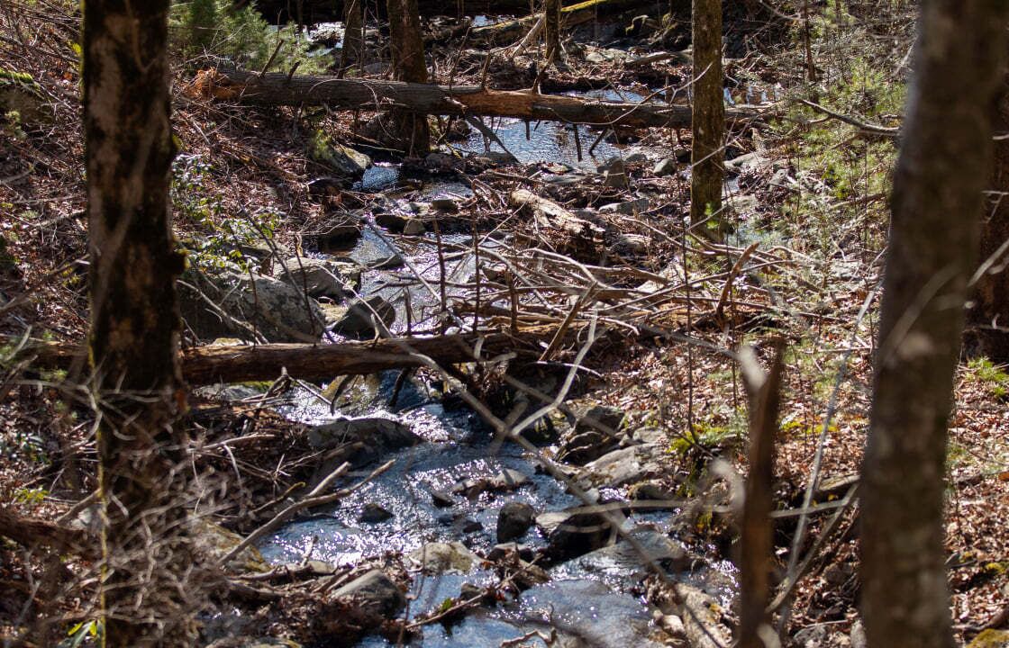 Photo of Others in Townsend