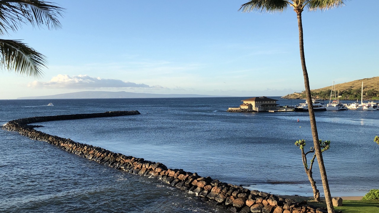 Photo of Others in Maalaea