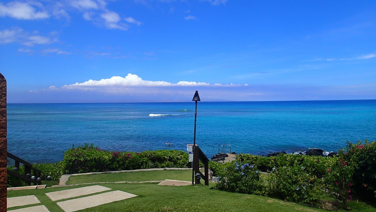 Photo of Others in Honokowai