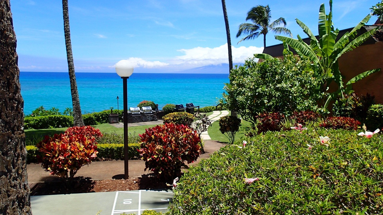 Photo of Others in Honokowai