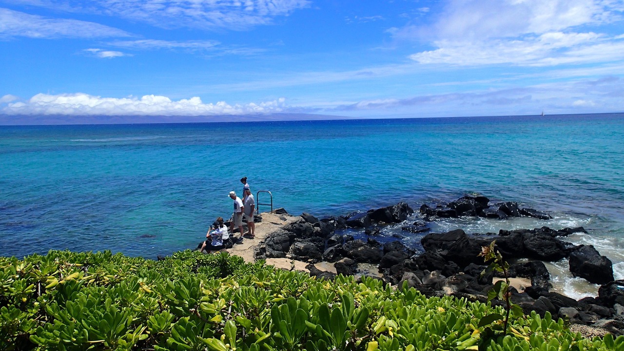 Photo of Others in Honokowai