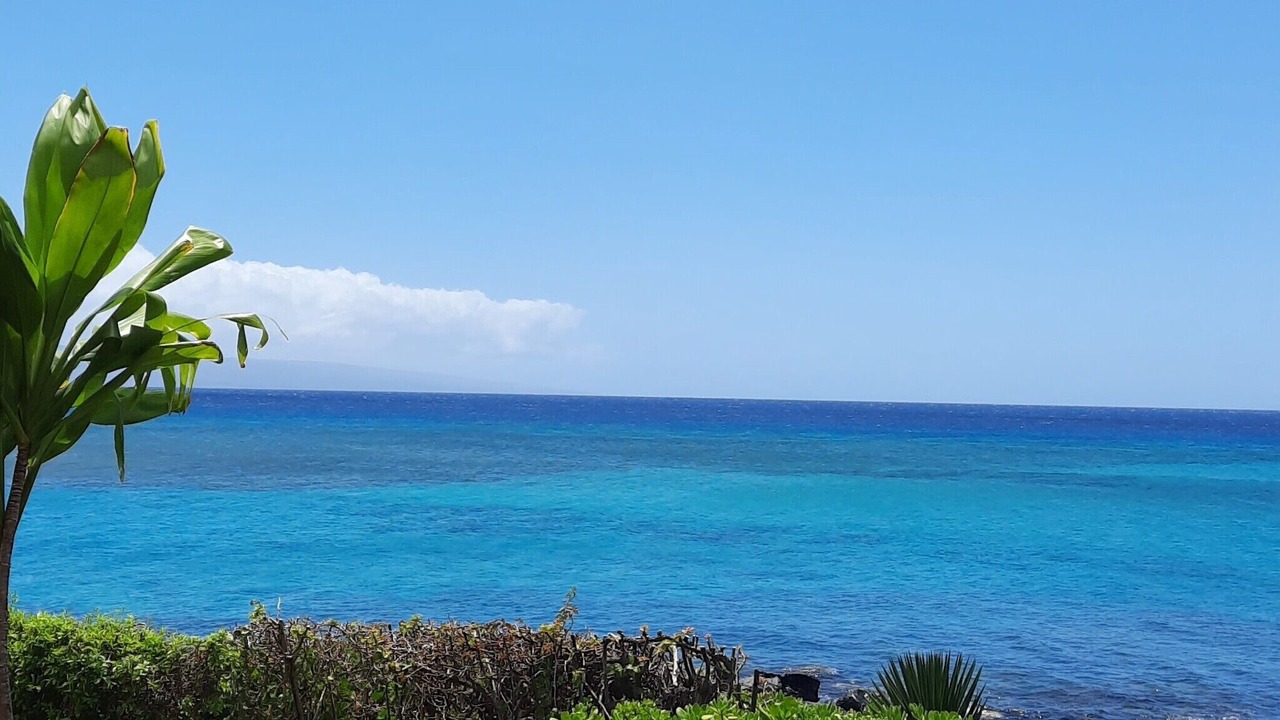 Photo of Outdoor in Honokowai
