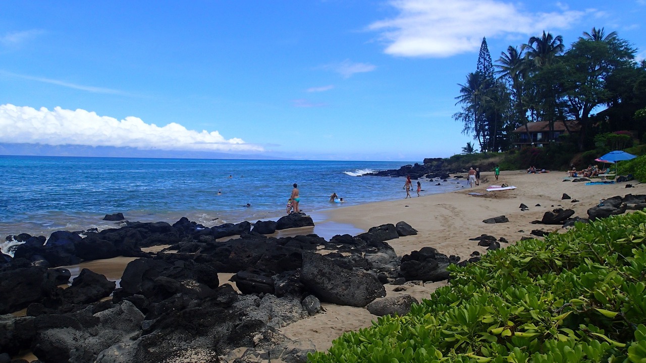 Photo of Others in Honokowai