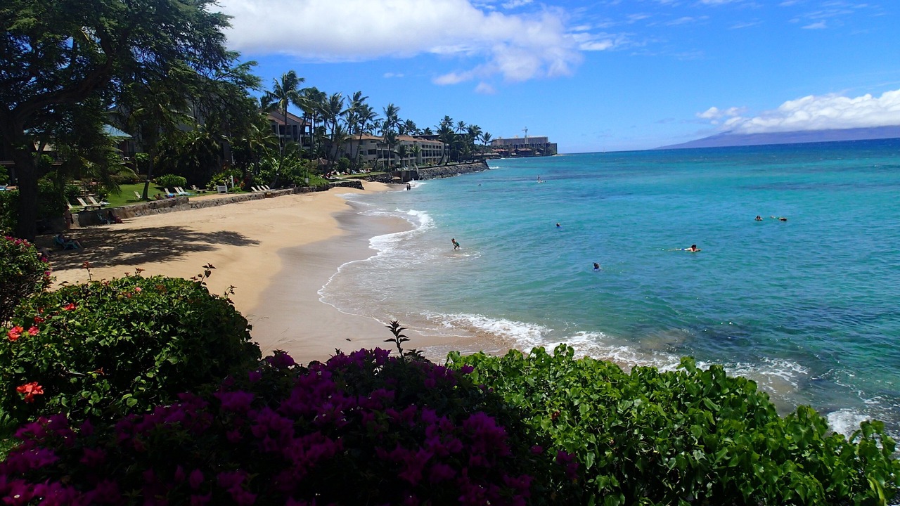 Photo of Others in Honokowai