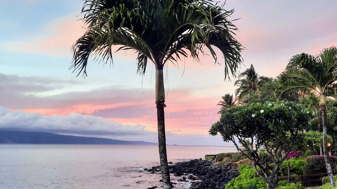 Photo of Others in Honokowai