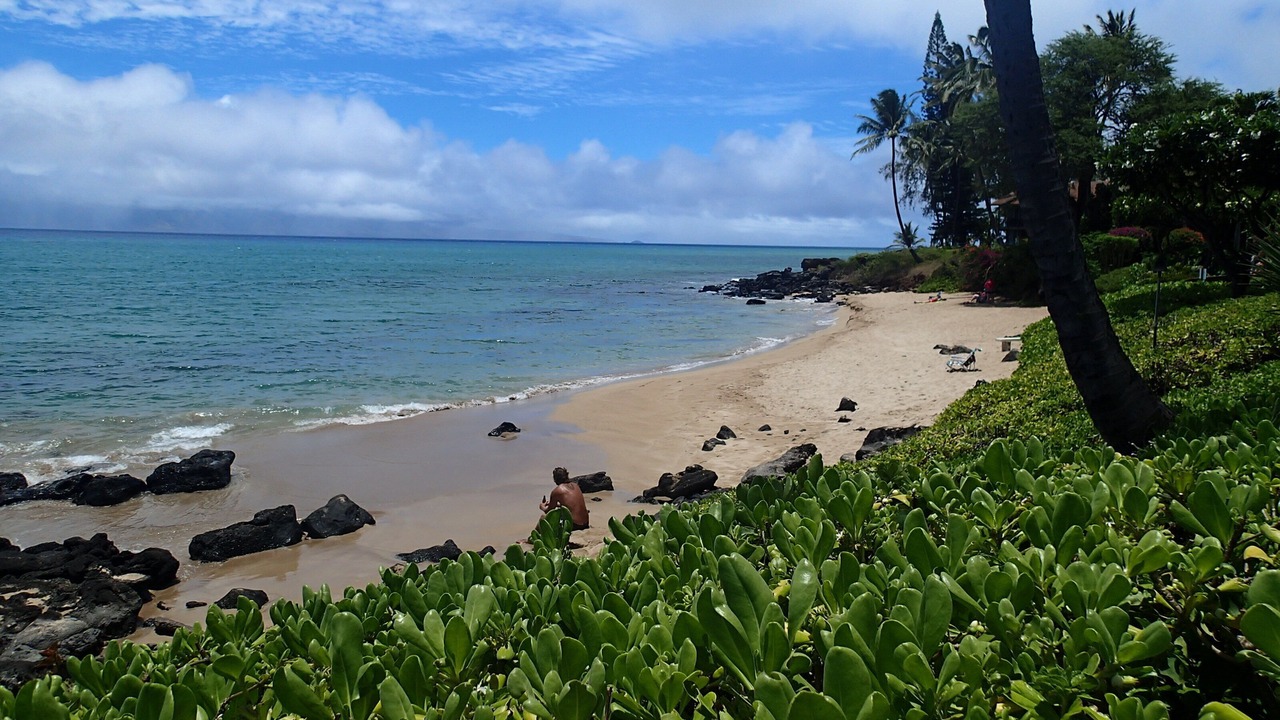 Photo of Others in Honokowai