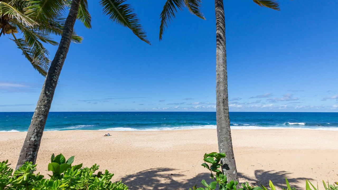 Photo of Others in Pupukea