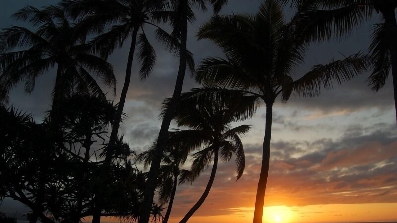 Photo of Others in Pupukea