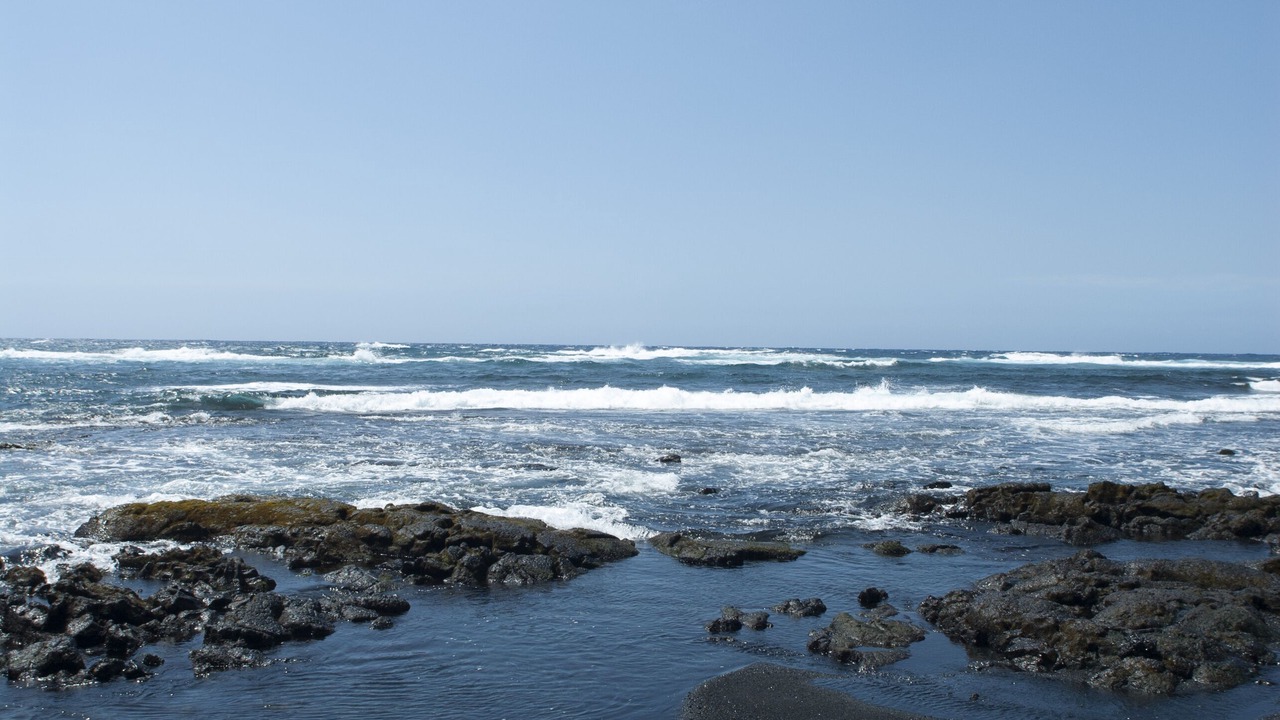 Photo of Others in Naalehu