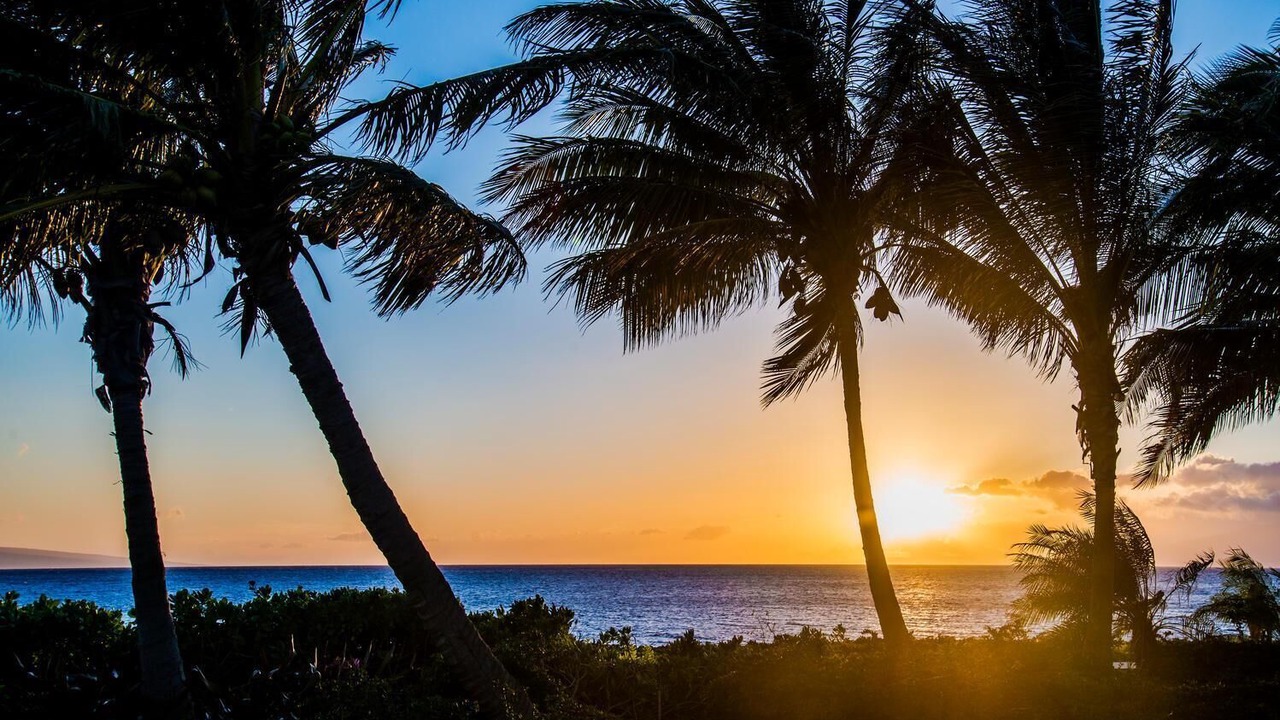 Photo of Others in Kaanapali
