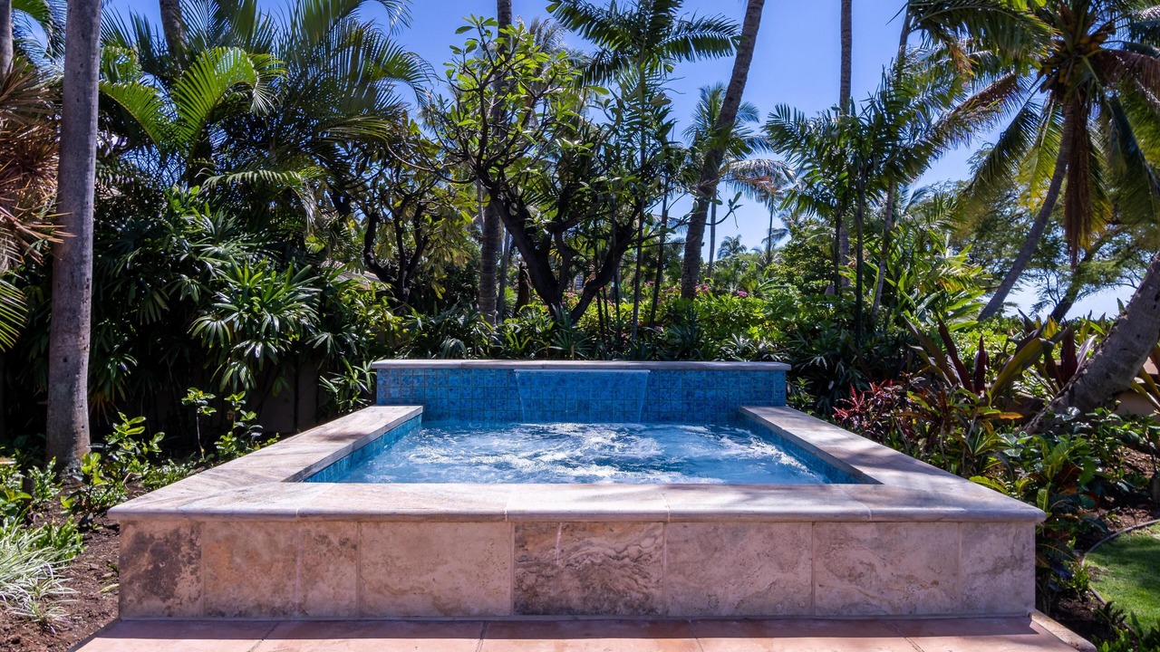 Photo of Others in Kaanapali