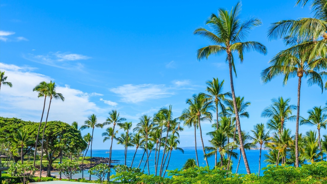 Photo of Others in Wailea